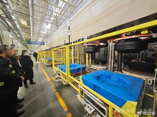 李明大使高度肯定玲瓏輪胎茲雷尼亞寧工廠的現代化建設水平