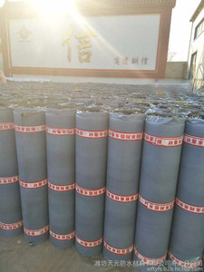 【天元供應(yīng) 自粘 國標(biāo)Ⅰ 型 聚酯胎 4.0mm 自粘聚合物 改性瀝青防水卷材 可支持定做 歡迎致電來詢】價(jià)格_廠家_圖片 -